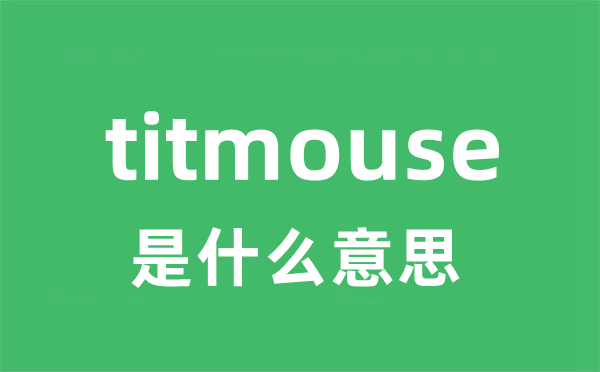 titmouse是什么意思