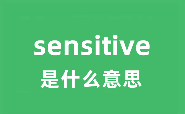 sensitive是什么意思