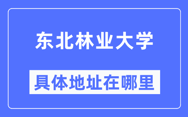 东北林业大学具体地址在哪里,在哪个城市,哪个区?