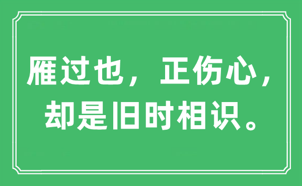 “雁过也，正伤心，却是旧时相识”是什么意思,出处及原文翻译