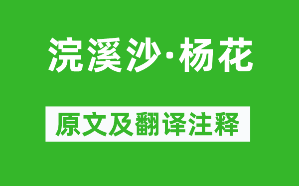 陈子龙《浣溪沙·杨花》原文及翻译注释,诗意解释