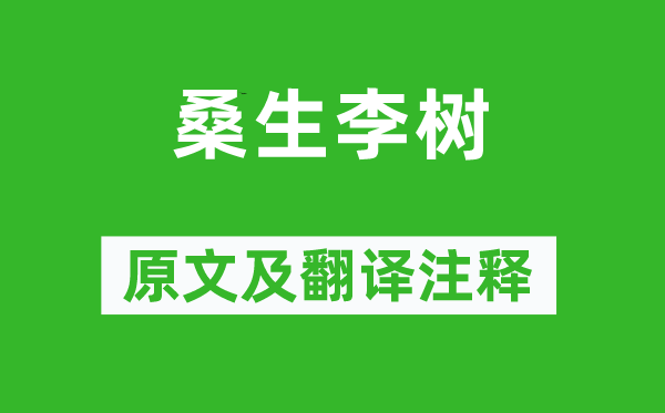《桑生李树》原文及翻译注释,诗意解释
