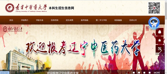 辽宁中医药大学本科招生网入口(https://zs.lnutcm.edu.cn/)