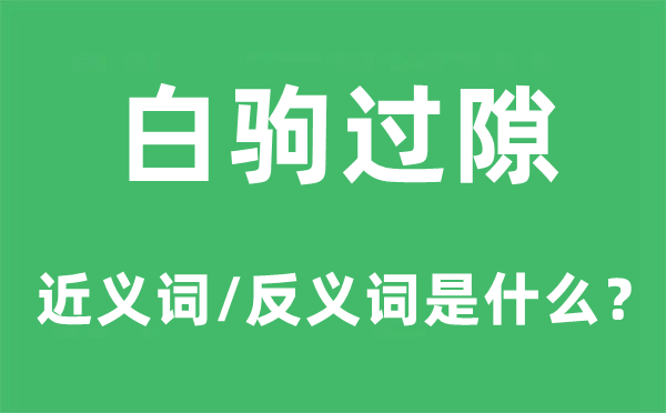 白驹过隙的近义词和反义词是什么,白驹过隙是什么意思