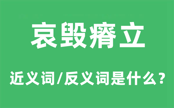 哀毁瘠立的近义词和反义词是什么,哀毁瘠立是什么意思