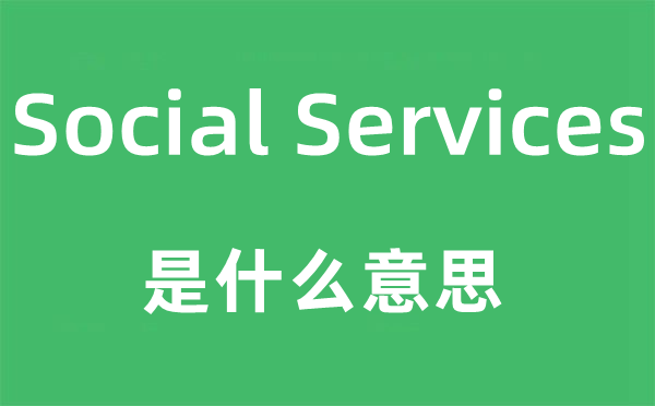 Social Services是什么意思,中文翻译是什么