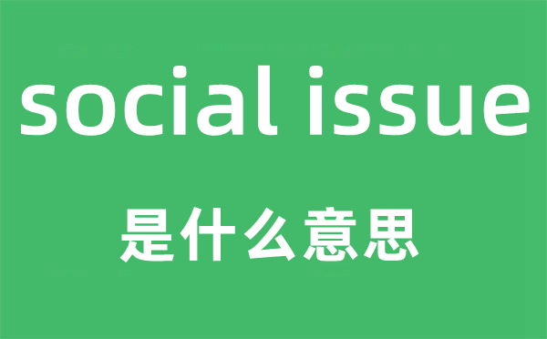 social issue是什么意思,中文翻译是什么