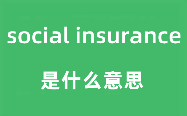 social insurance是什么意思,中文翻译是什么