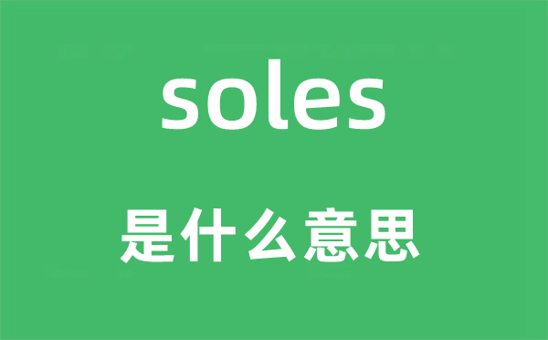 soles是什么意思,soles怎么读,中文翻译是什么