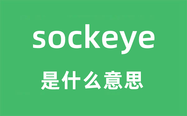 sockeye是什么意思,sockeye怎么读,sockeye中文翻译是什么