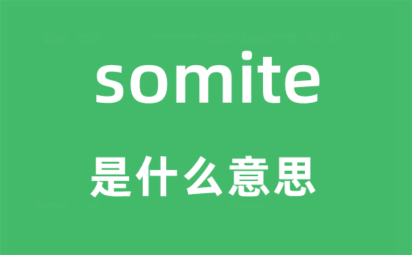 somite是什么意思,somite怎么读,中文翻译是什么