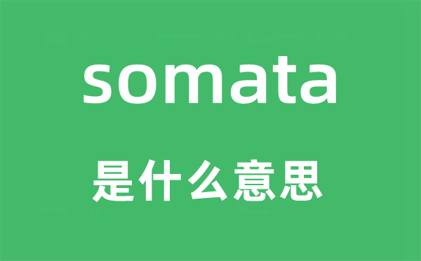 somata是什么意思,somata怎么读,中文翻译是什么