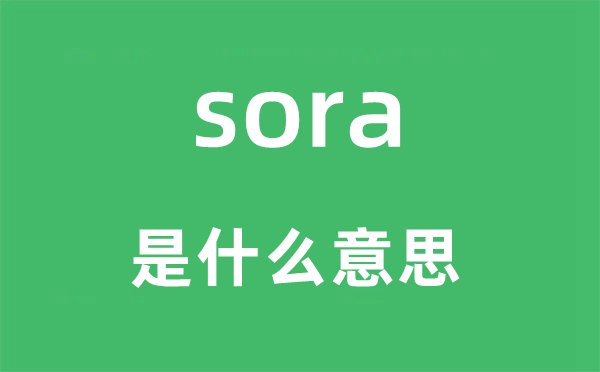sora是什么意思,sora怎么读,中文翻译是什么