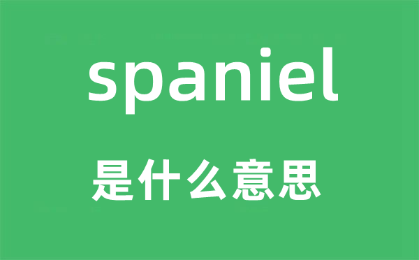 spaniel是什么意思,spaniel怎么读,中文翻译是什么