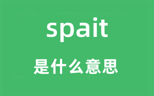 spait是什么意思,spait怎么读,中文翻译是什么