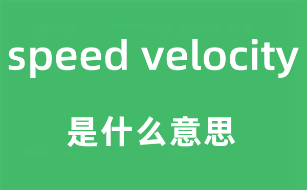 speed velocity是什么意思,中文翻译是什么