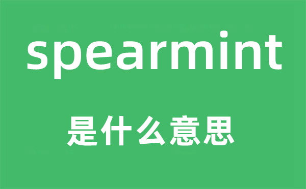 spearmint是什么意思,spearmint怎么读,中文翻译是什么