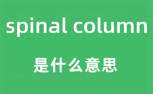 spinal column是什么意思,中文翻译是什么