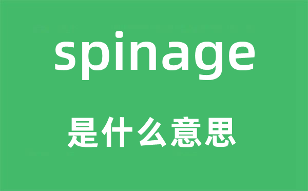 spinage是什么意思,spinage怎么读,中文翻译是什么