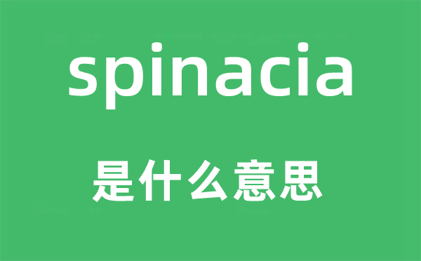 spinacia是什么意思,spinacia怎么读,中文翻译是什么