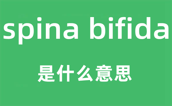 spina bifida是什么意思,中文翻译是什么