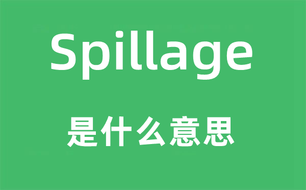 Spillage是什么意思,Spillage怎么读,中文翻译是什么