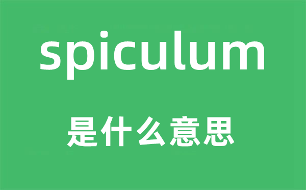spiculum是什么意思,spiculum怎么读,中文翻译是什么