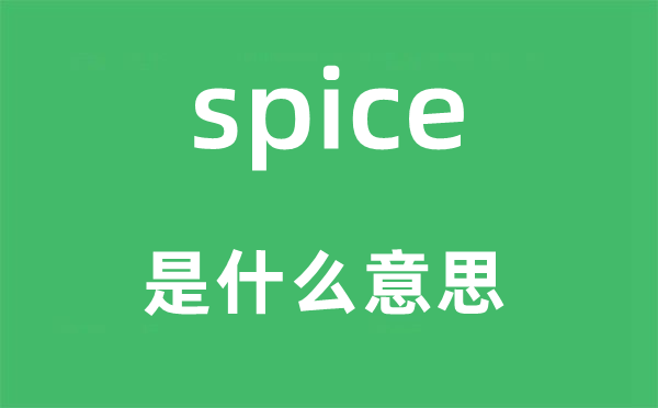 spice是什么意思,spice怎么读,中文翻译是什么