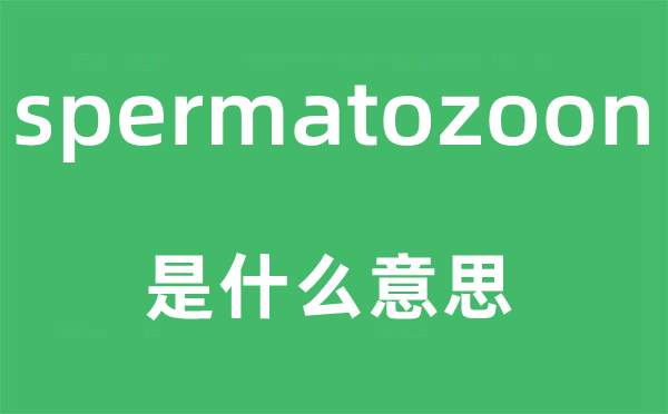 spermatozoon是什么意思,spermatozoon怎么读,中文翻译是什么