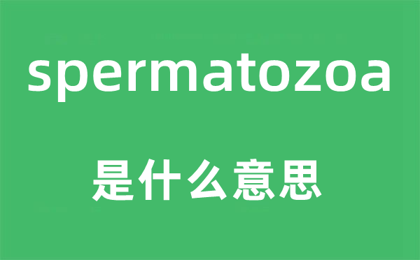 spermatozoa是什么意思,spermatozoa怎么读,中文翻译是什么