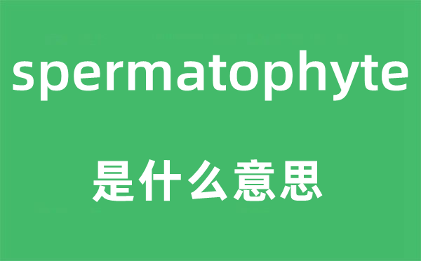 spermatophyte是什么意思,spermatophyte怎么读,中文翻译是什么