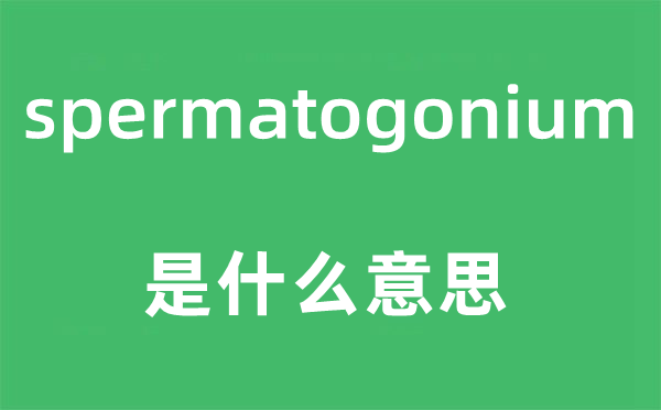 spermatogonium是什么意思,spermatogonium怎么读,中文翻译是什么