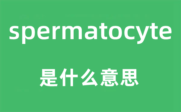 spermatocyte是什么意思,spermatocyte怎么读,中文翻译是什么
