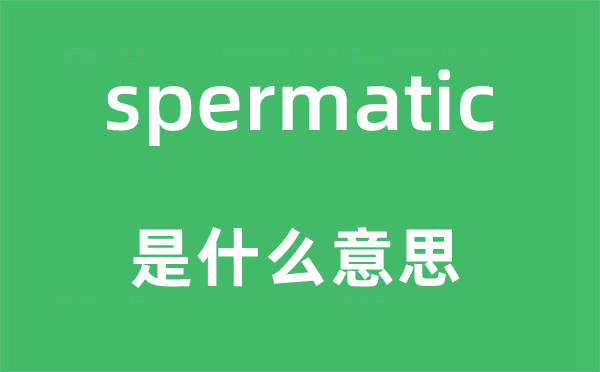 spermatic是什么意思,spermatic怎么读,中文翻译是什么