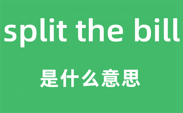 split the bill是什么意思,中文翻译是什么