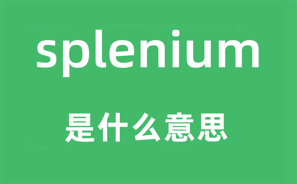 splenium是什么意思,splenium怎么读,中文翻译是什么