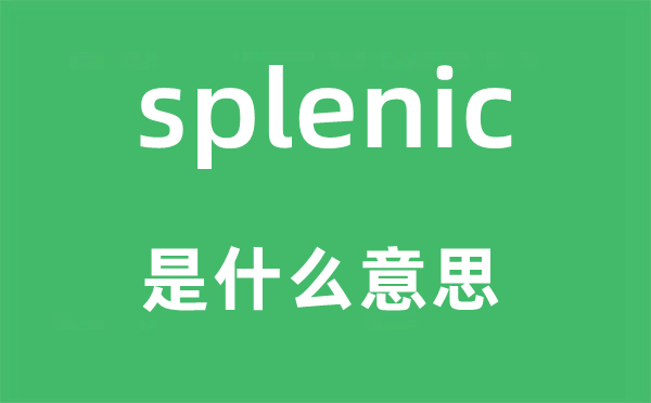 splenic是什么意思,splenic怎么读,中文翻译是什么