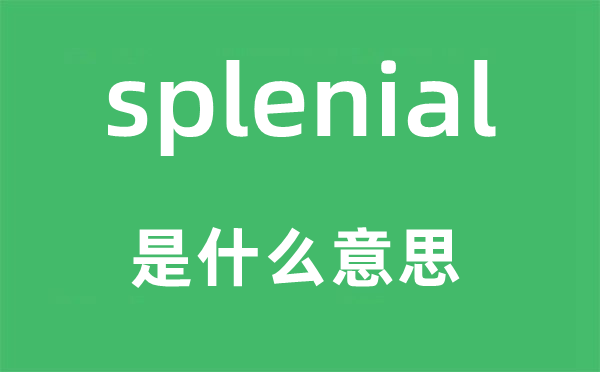 splenial是什么意思,splenial怎么读,中文翻译是什么