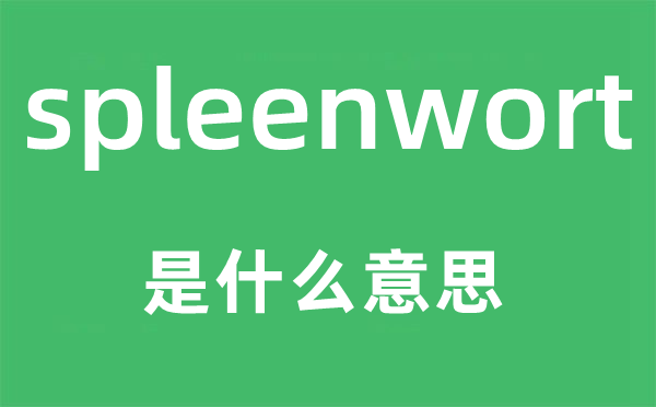 spleenwort是什么意思,spleenwort怎么读,中文翻译是什么