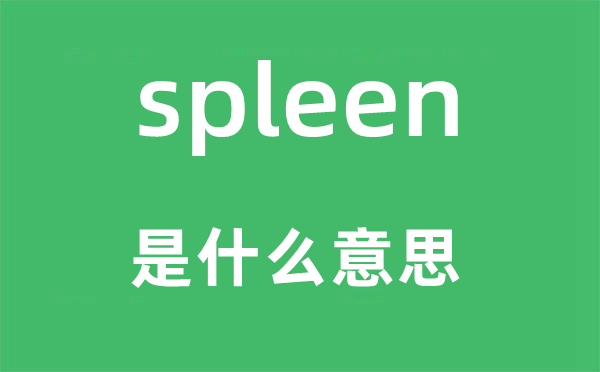 spleen是什么意思,spleen怎么读,中文翻译是什么