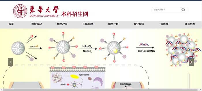 东华大学本科招生网入口(https://zs.dhu.edu.cn/)