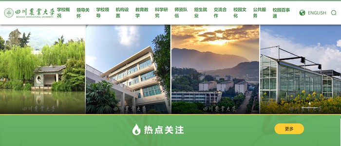 四川农业大学官网网址（https://www.sicau.edu.cn/）