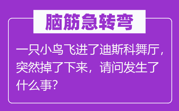 脑筋急转弯：一只小鸟飞进了迪斯科舞厅，突然掉了下来，请问发生了什么事？