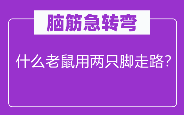 脑筋急转弯：什么老鼠用两只脚走路？