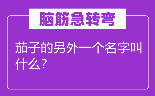 脑筋急转弯：茄子的另外一个名字叫什么？