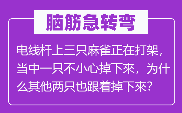 脑筋急转弯：电线杆上三只麻雀正在打架，当中一只不小心掉下來，为什么其他两只也跟着掉下來？