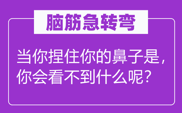 脑筋急转弯：当你捏住你的鼻子是，你会看不到什么呢？
