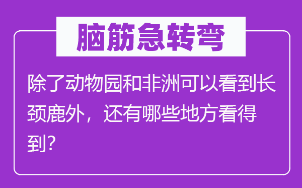 脑筋急转弯：除了动物园和非洲可以看到长颈鹿外，还有哪些地方看得到？