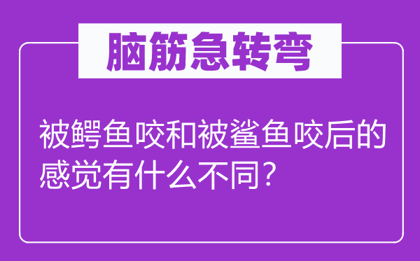 脑筋急转弯：被鳄鱼咬和被鲨鱼咬后的感觉有什么不同？