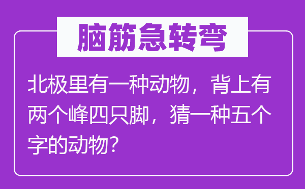 脑筋急转弯：北极里有一种动物，背上有两个峰四只脚，猜一种五个字的动物？